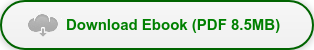 Download Ebook (PDF 8.5MB)